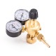купить Регулятор FoxWeld WR550 mini (аргоновый/углекислотный, 1 манометр, 1 расходомер стрелочн., пр-во FoxWeld/КНР)