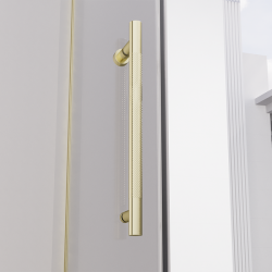 Душевая дверь распашная Veconi Premium Alassio G, 1200х2000, брашированное золото, стекло прозрачное осветленное