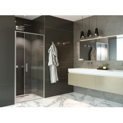 Душевая дверь Alex Baitler 110 AB61C110 110?200 см