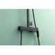 Душевая стойка Raglo R02.24.06 чёрный